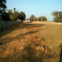 Park Construction Service