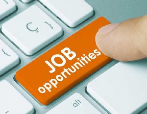 BPO Job Services
