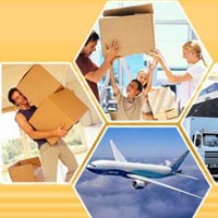 Transit Insurance Services