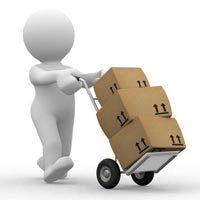 Courier Management Software Services