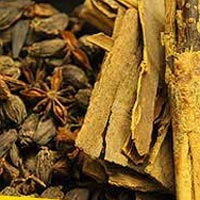 Cattle Feed Testing Services