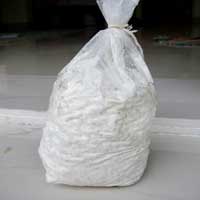 Oyster Mushroom Spawn