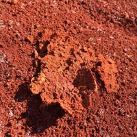 Red Mud