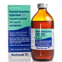 Antibiotic Injectable