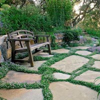 Garden Landscaping Designs