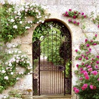 Garden Door