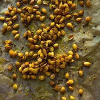 Turmeric Seeds
