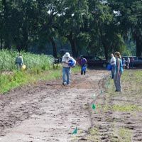 Farmer Training Service