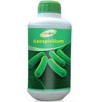 Azospirillum Culture