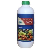 Azotobacter Biofertilizer