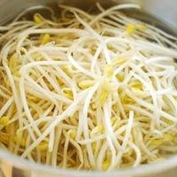 Soybean Sprouts