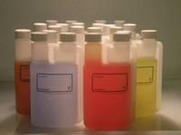 Anti Money Laundering Solution