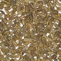 Anise Seeds