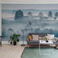 Wall Murals