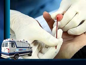 Pathology Laboratory