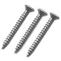 Stainless Steel Screw