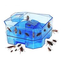 Cockroach Trap