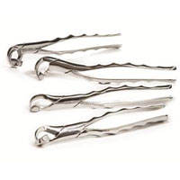 Dental Forcep