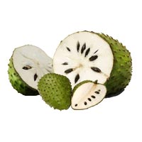 Soursop