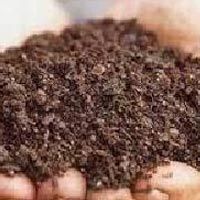 Azospirillum Biofertilizer