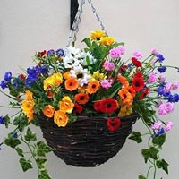 Hanging Flower Basket