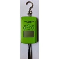 Portable Scale