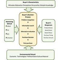 Consumer Behaviour Studies