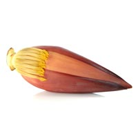 Banana Flower