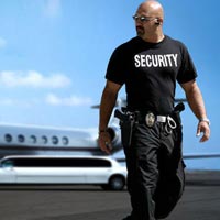 Vip Protection Services