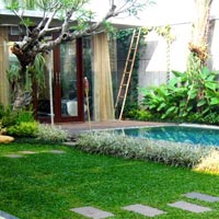 Vertical Garden Landscaping Services