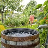 Rainwater Harvesting