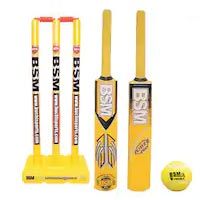 Plastic Cricket Set