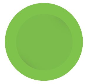 Pizza Plate