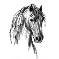 Charcoal Pencil Drawings