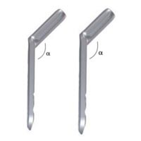 Dynamic Hip Screw (DHS)