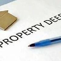 Property Law Services