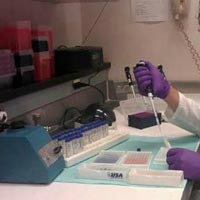 Academic Research Services