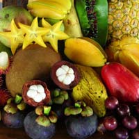 Subtropical Fruits