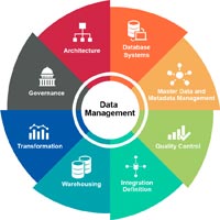 Data Management Consulting Services