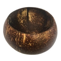Coconut Shell Bowl