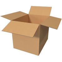 Corrugated Paper Carton