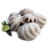 Frozen Octopus