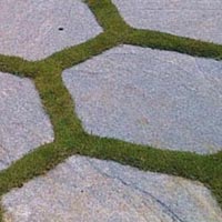 HT Cable Laying Services