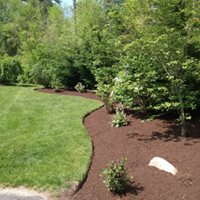 Landscape Maintenance