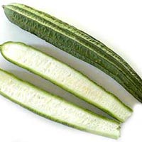 Ridge Gourd