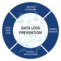 Data Loss Prevention Services