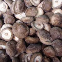 Frozen Black Mushroom