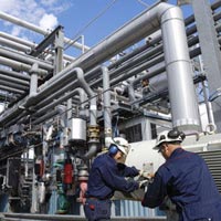 Plant Operation Maintenance