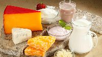 Processed Dairy Products