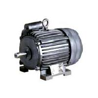 AC Induction Motor